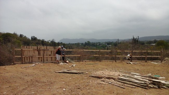 Working on Fence